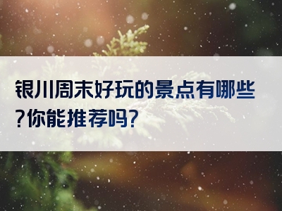 银川周末好玩的景点有哪些？你能推荐吗？