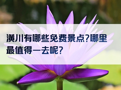 潢川有哪些免费景点？哪里最值得一去呢？