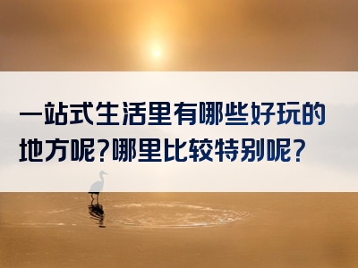 一站式生活里有哪些好玩的地方呢？哪里比较特别呢？