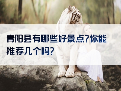 青阳县有哪些好景点？你能推荐几个吗？