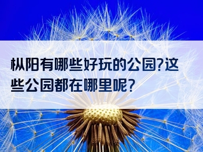 枞阳有哪些好玩的公园？这些公园都在哪里呢？