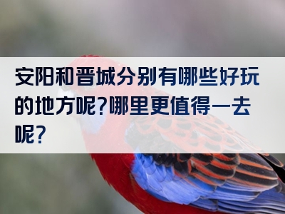 安阳和晋城分别有哪些好玩的地方呢？哪里更值得一去呢？