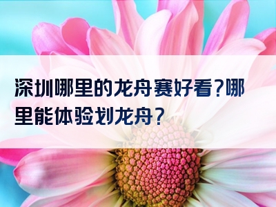 深圳哪里的龙舟赛好看？哪里能体验划龙舟？