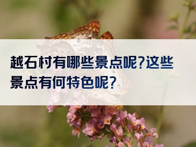 越石村有哪些景点呢？这些景点有何特色呢？