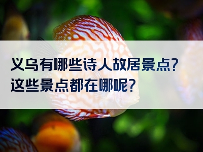 义乌有哪些诗人故居景点？这些景点都在哪呢？