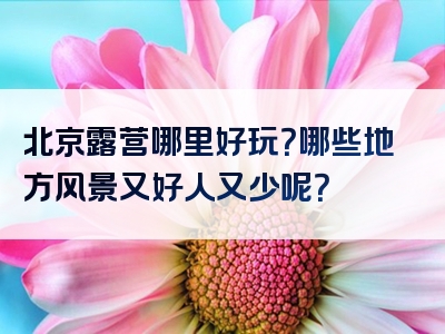 北京露营哪里好玩？哪些地方风景又好人又少呢？