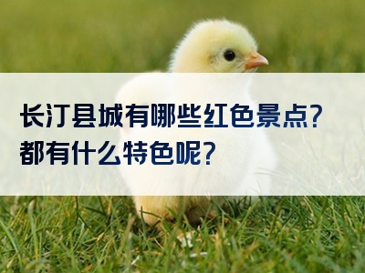 长汀县城有哪些红色景点？都有什么特色呢？