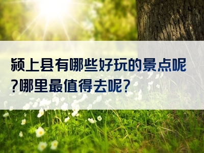 颍上县有哪些好玩的景点呢？哪里最值得去呢？