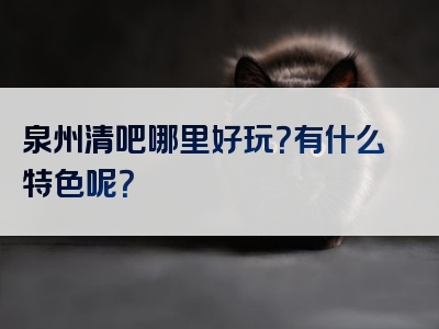 泉州清吧哪里好玩？有什么特色呢？