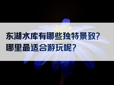 东湖水库有哪些独特景致？哪里最适合游玩呢？