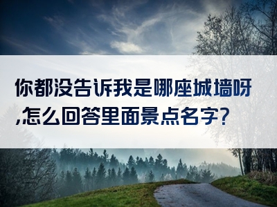 你都没告诉我是哪座城墙呀，怎么回答里面景点名字？