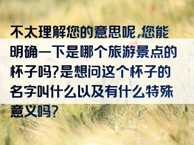 不太理解您的意思呢，您能明确一下是哪个旅游景点的杯子吗？是想问这个杯子的名字叫什么以及有什么特殊意义吗？