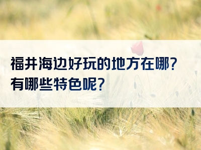 福井海边好玩的地方在哪？有哪些特色呢？