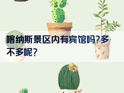 喀纳斯景区内有宾馆吗？多不多呢？