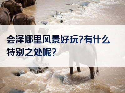 会泽哪里风景好玩？有什么特别之处呢？