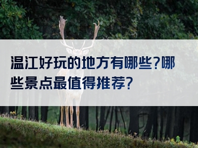 温江好玩的地方有哪些？哪些景点最值得推荐？