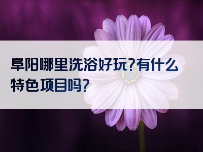 阜阳哪里洗浴好玩？有什么特色项目吗？