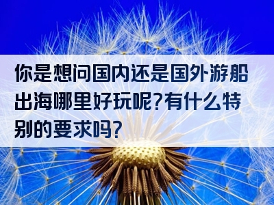 你是想问国内还是国外游船出海哪里好玩呢？有什么特别的要求吗？