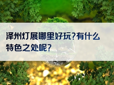泽州灯展哪里好玩？有什么特色之处呢？