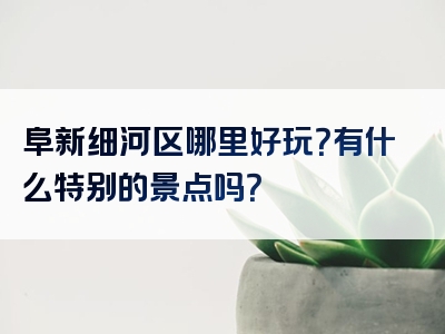 阜新细河区哪里好玩？有什么特别的景点吗？