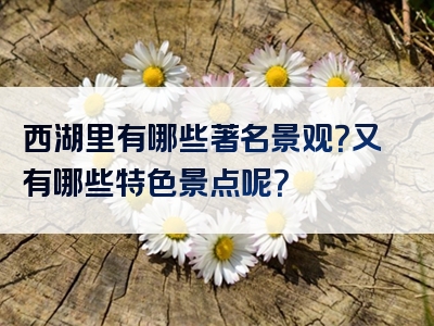 西湖里有哪些著名景观？又有哪些特色景点呢？