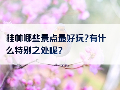 桂林哪些景点最好玩？有什么特别之处呢？