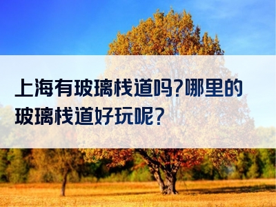 上海有玻璃栈道吗？哪里的玻璃栈道好玩呢？