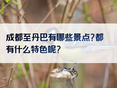 成都至丹巴有哪些景点？都有什么特色呢？