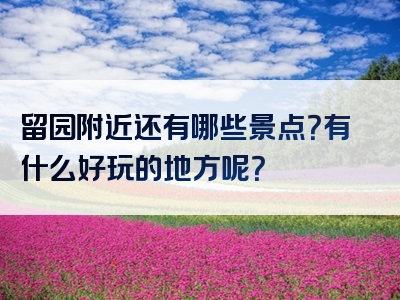 留园附近还有哪些景点？有什么好玩的地方呢？