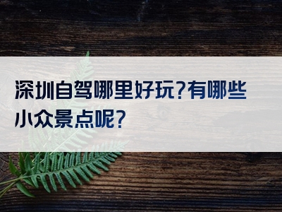 深圳自驾哪里好玩？有哪些小众景点呢？