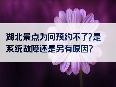 湖北景点为何预约不了？是系统故障还是另有原因？