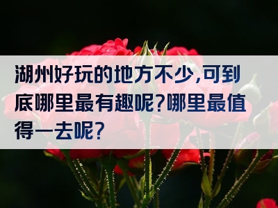 湖州好玩的地方不少，可到底哪里最有趣呢？哪里最值得一去呢？