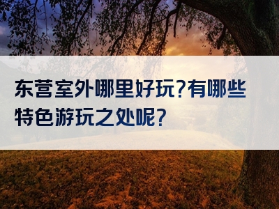 东营室外哪里好玩？有哪些特色游玩之处呢？