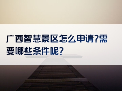 广西智慧景区怎么申请？需要哪些条件呢？