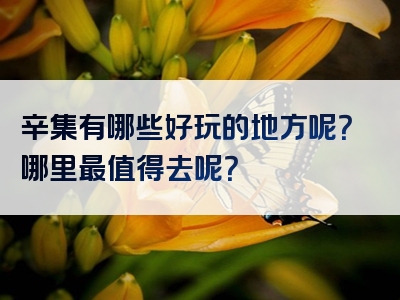 辛集有哪些好玩的地方呢？哪里最值得去呢？