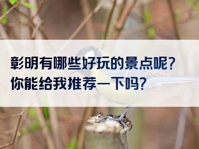 彰明有哪些好玩的景点呢？你能给我推荐一下吗？