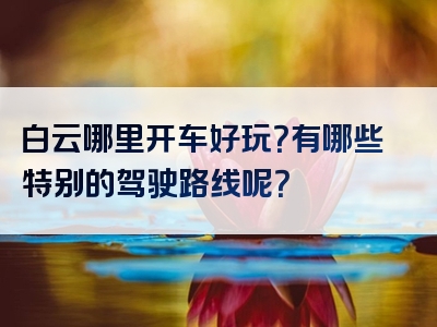 白云哪里开车好玩？有哪些特别的驾驶路线呢？