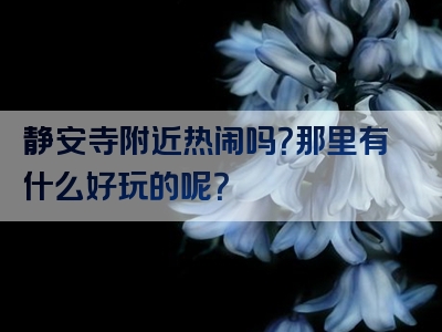 静安寺附近热闹吗？那里有什么好玩的呢？