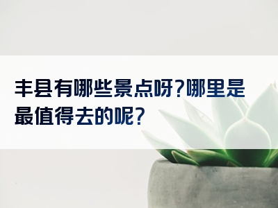 丰县有哪些景点呀？哪里是最值得去的呢？