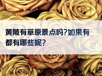 黄陂有草原景点吗？如果有都有哪些呢？