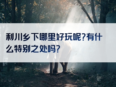 利川乡下哪里好玩呢？有什么特别之处吗？