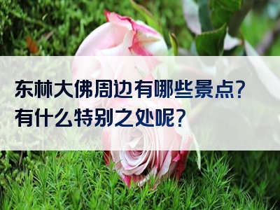 东林大佛周边有哪些景点？有什么特别之处呢？