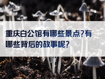 重庆白公馆有哪些景点？有哪些背后的故事呢？