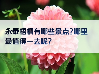 永泰梧桐有哪些景点？哪里最值得一去呢？