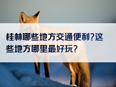 桂林哪些地方交通便利？这些地方哪里最好玩？