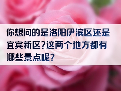你想问的是洛阳伊滨区还是宜宾新区？这两个地方都有哪些景点呢？