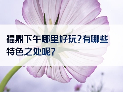 福鼎下午哪里好玩？有哪些特色之处呢？