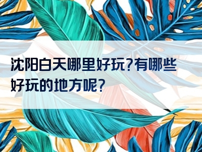 沈阳白天哪里好玩？有哪些好玩的地方呢？