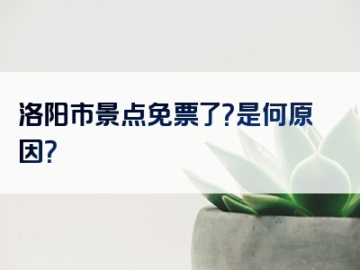 洛阳市景点免票了？是何原因？