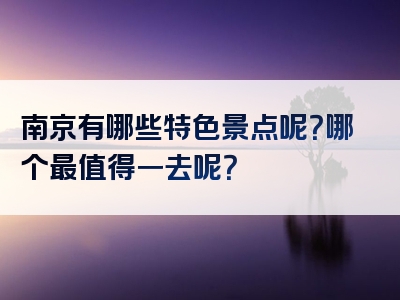 南京有哪些特色景点呢？哪个最值得一去呢？